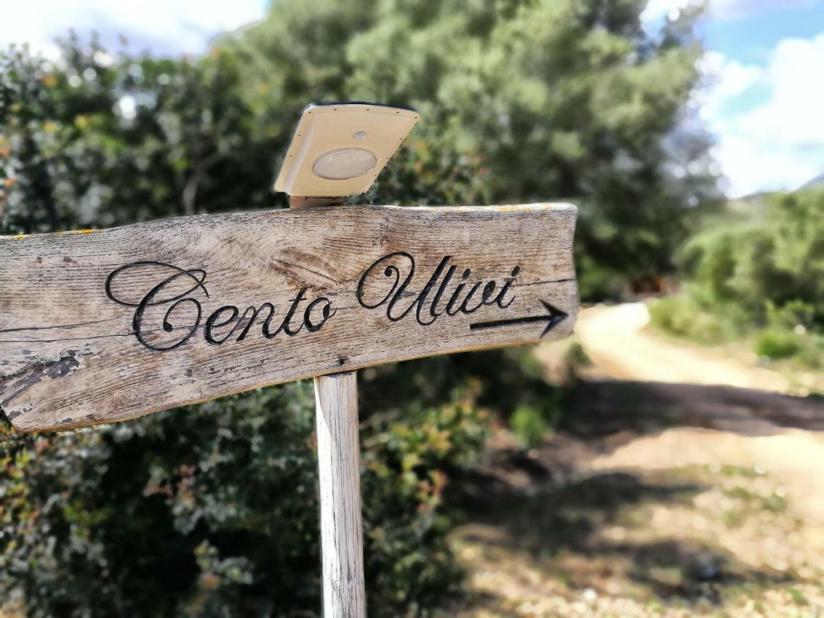 Cento Ulivi B&B Golfo Aranci Εξωτερικό φωτογραφία